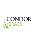 Искусственная трава Condor Grass Искусственная трава Condor Grass