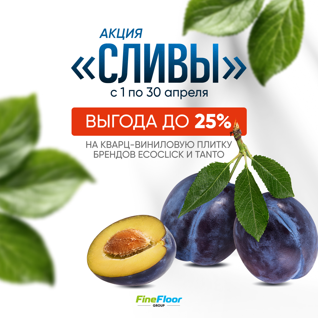 АКЦИЯ Сливы